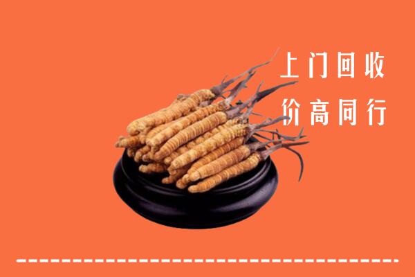 收购行情：青田县冬虫夏草回收多少钱每克