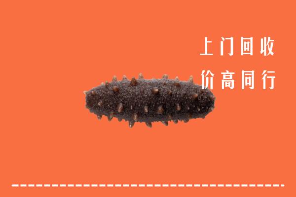 青田县回收海参